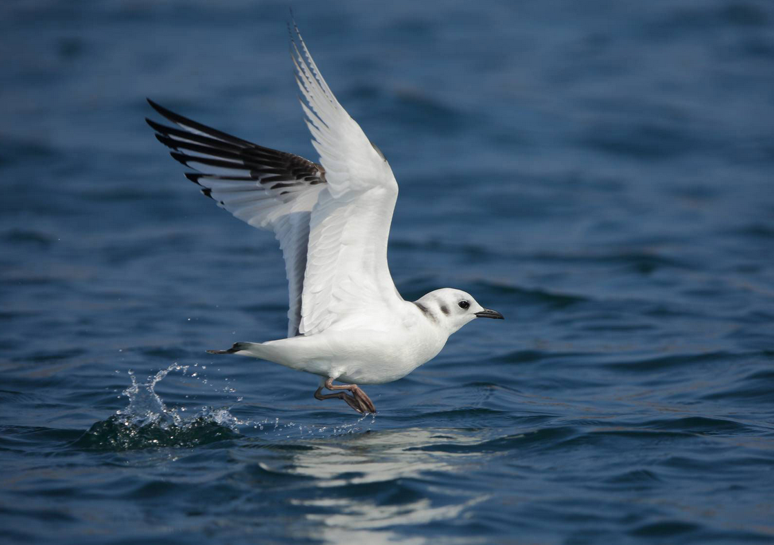 Protège ton terrain de jeu